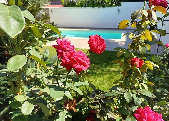 Villa Due Mari Mondello With Private Pool