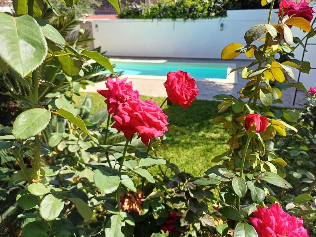 Due Mari Mondello With Private Pool Villa
